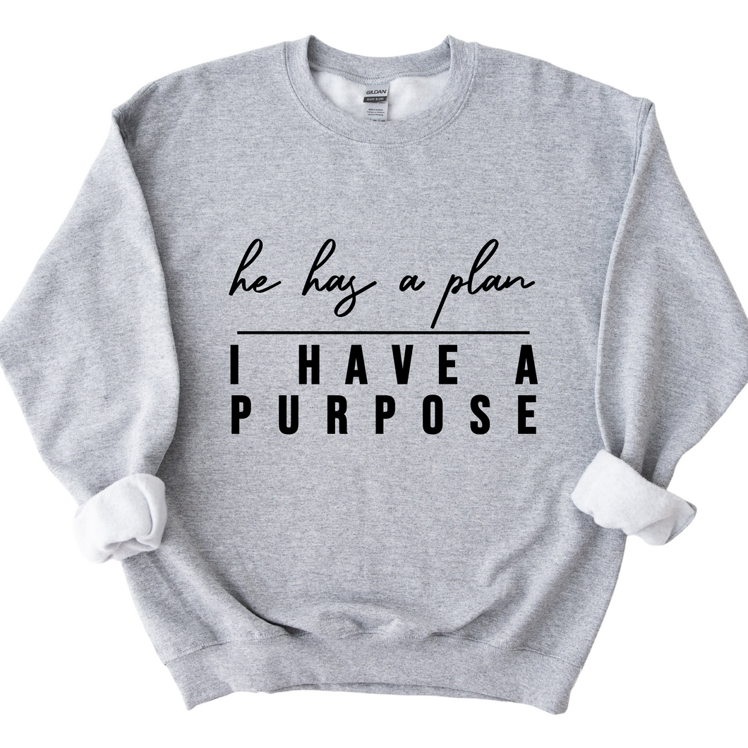 He has a plan & I have a purpose